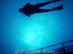 Barbara Winn above the Spiegel Grove out of Key Largo by Michael Kovach 
